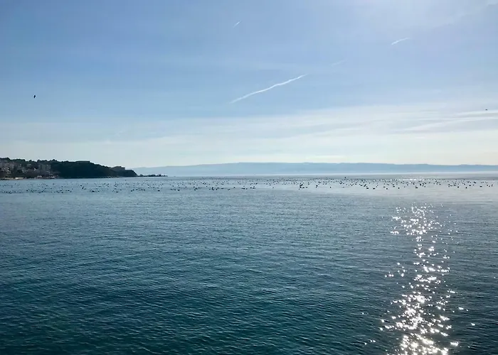 The L Place By Right Place アパート